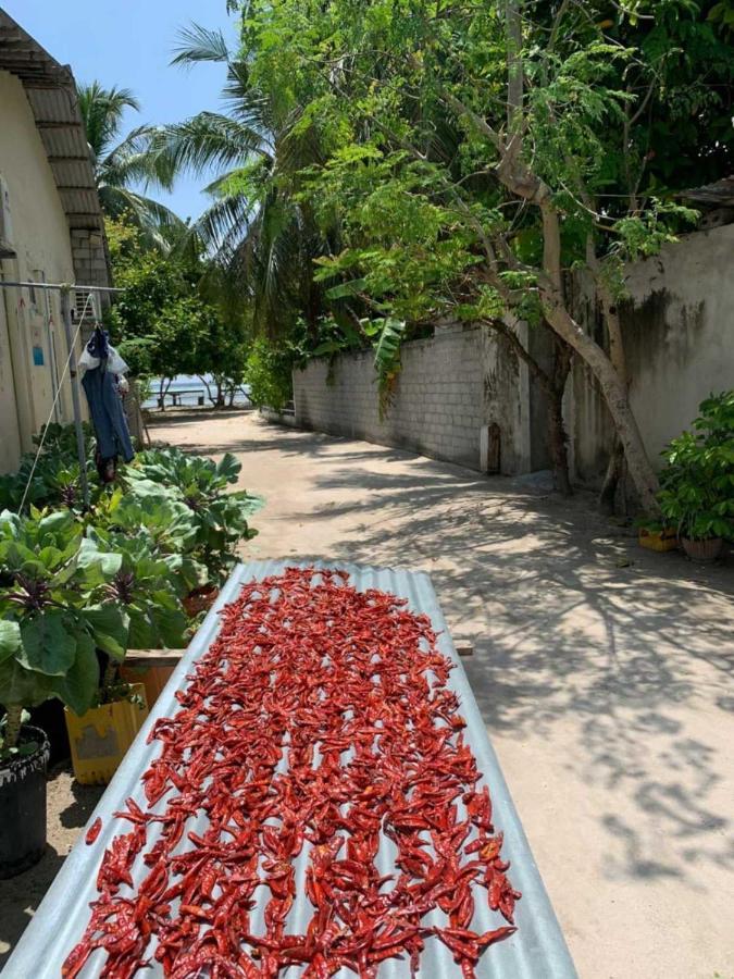 La Isla Tropica Hotel Guraidhoo  Exterior foto
